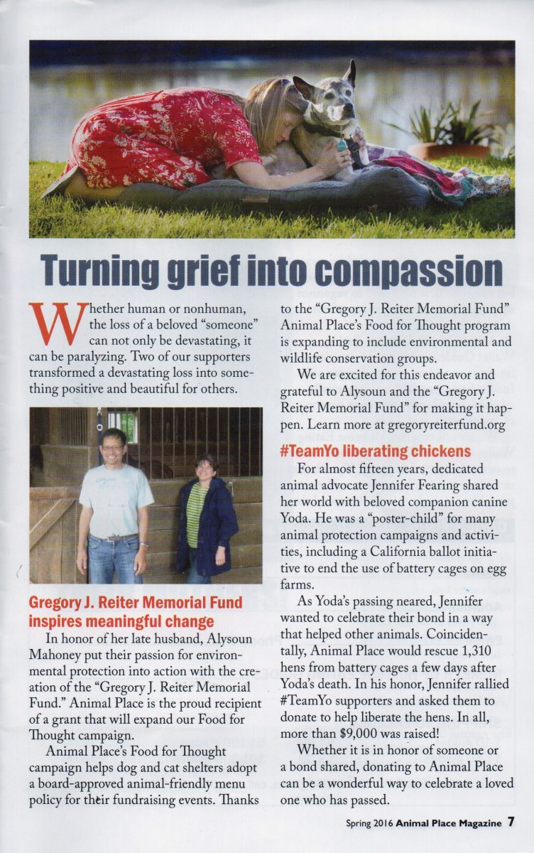 Spring 2016 Magazine