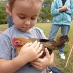 chicken