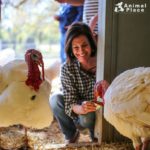 animalplace-thankturkeys01