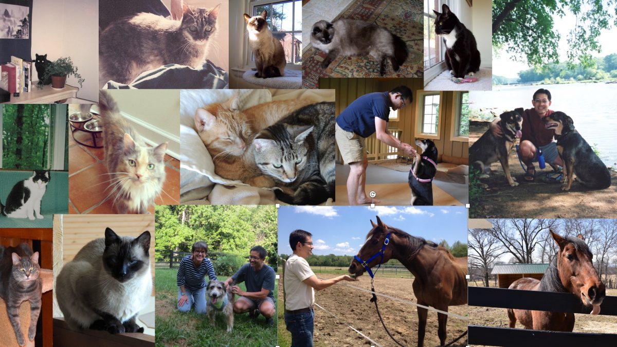 GregAlysounAnimalCollage