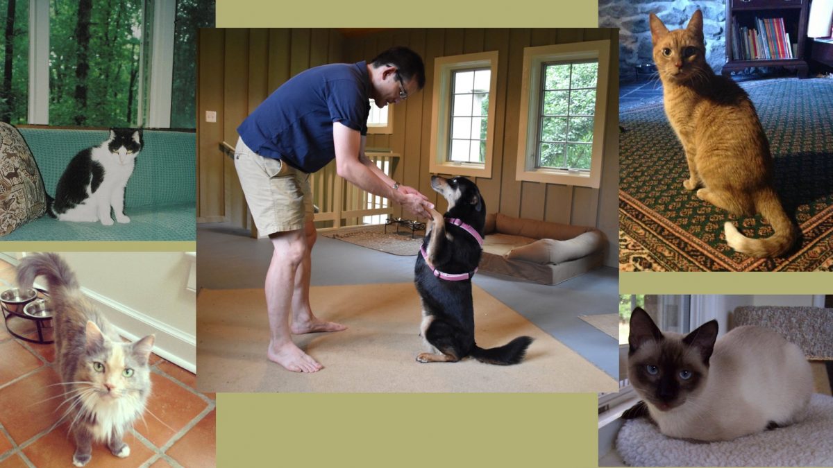 VA Rescued Animals part 1