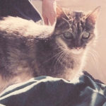 moppet (1)