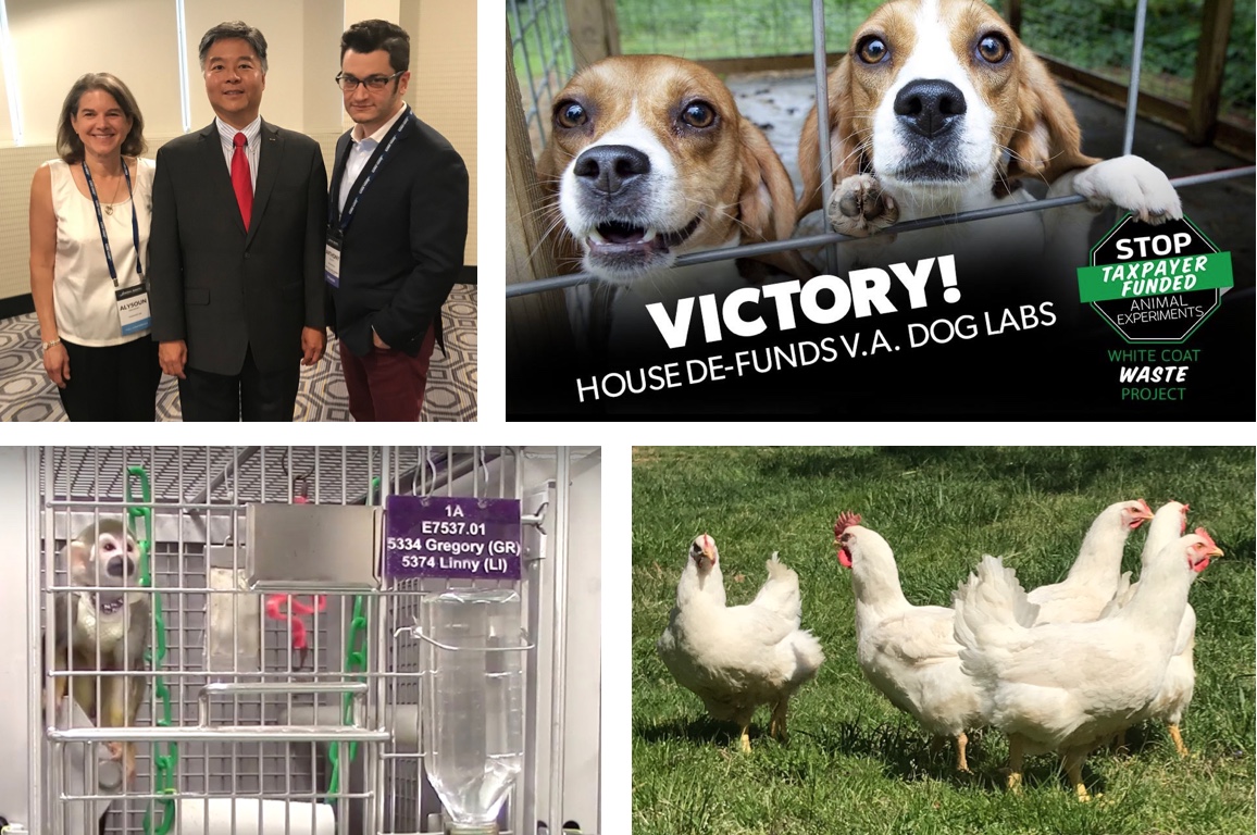 lab animal rescue