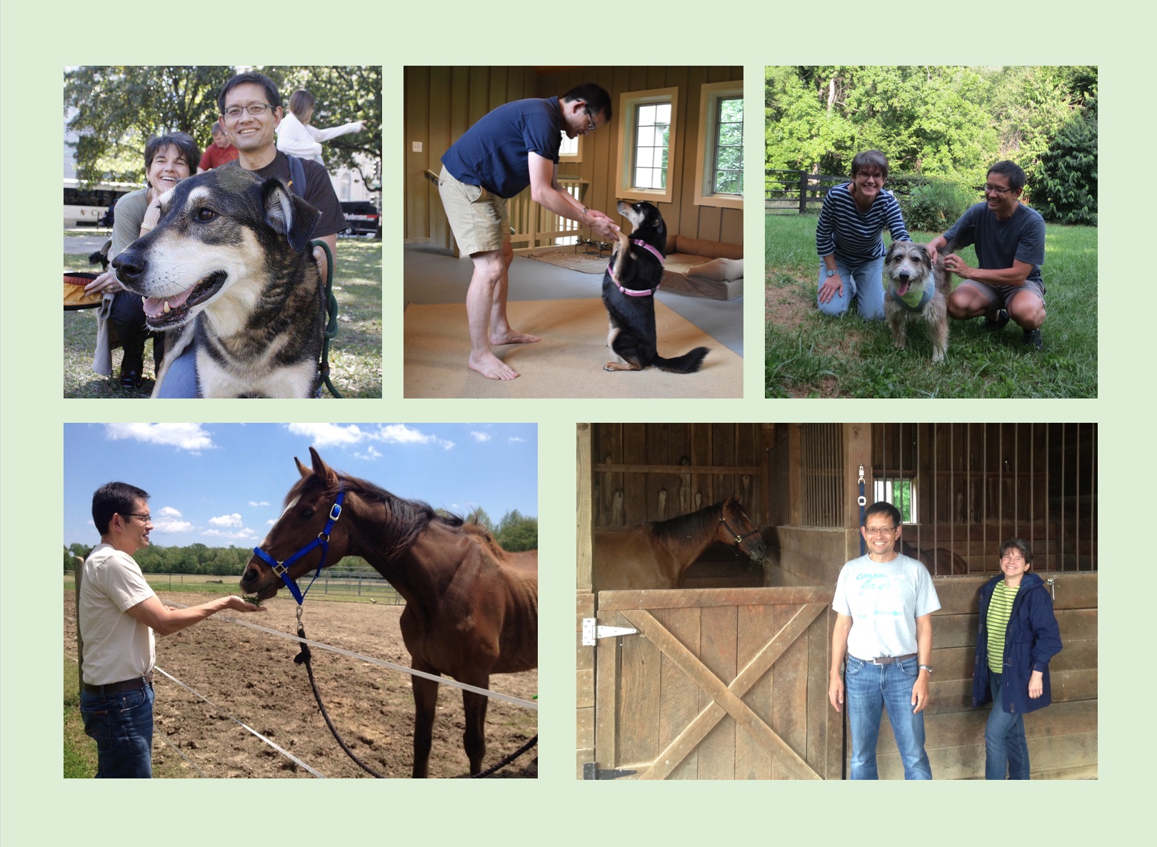 CollageCustom-NfGDonatePage
