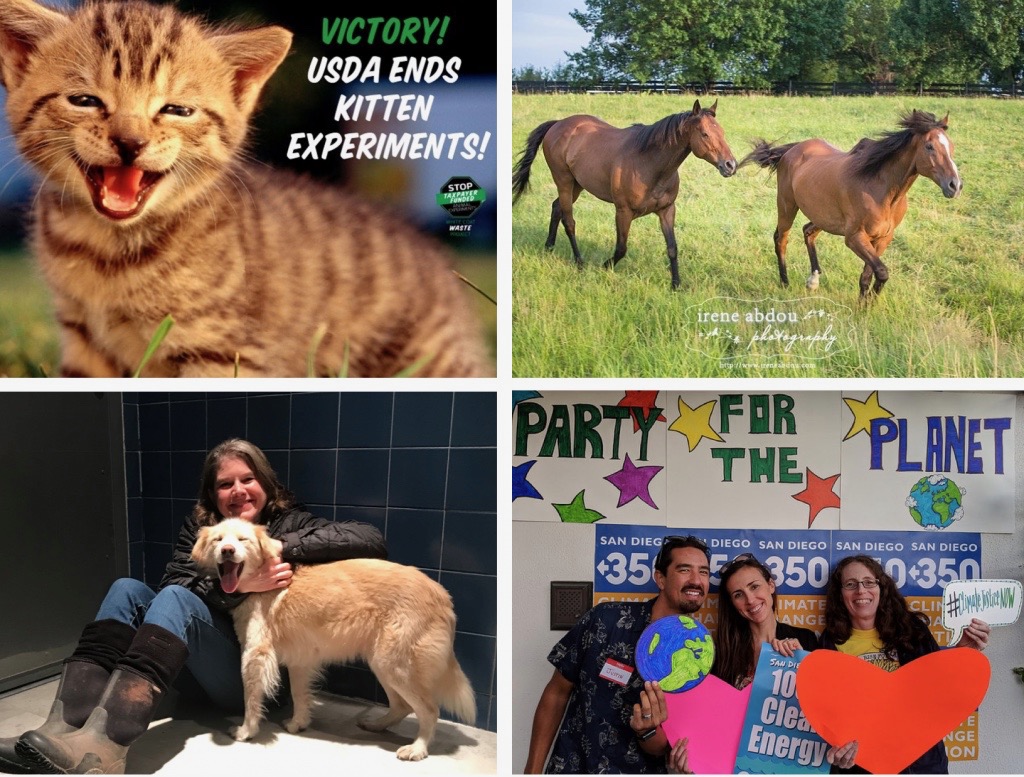 2019-Q1-Report-Featured-Image