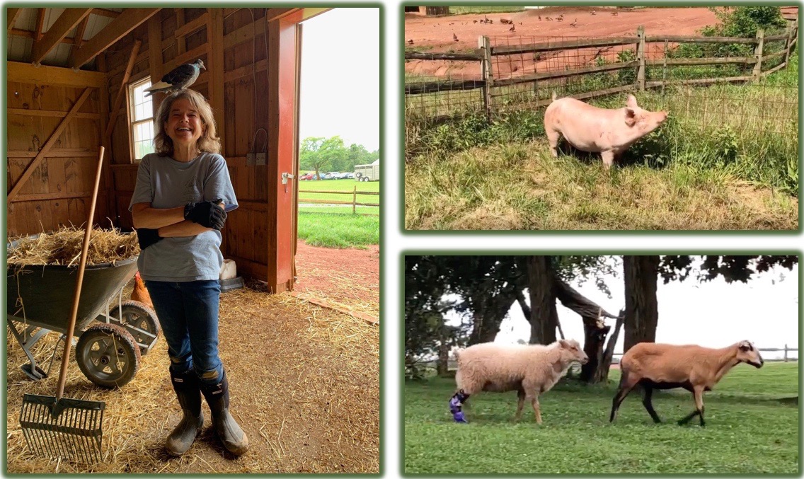 July 2019 Poplar Blog Post Cover