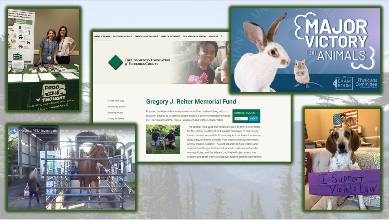 2019 Q3 Report Featured Image 2019 Q3 Report Featured Image