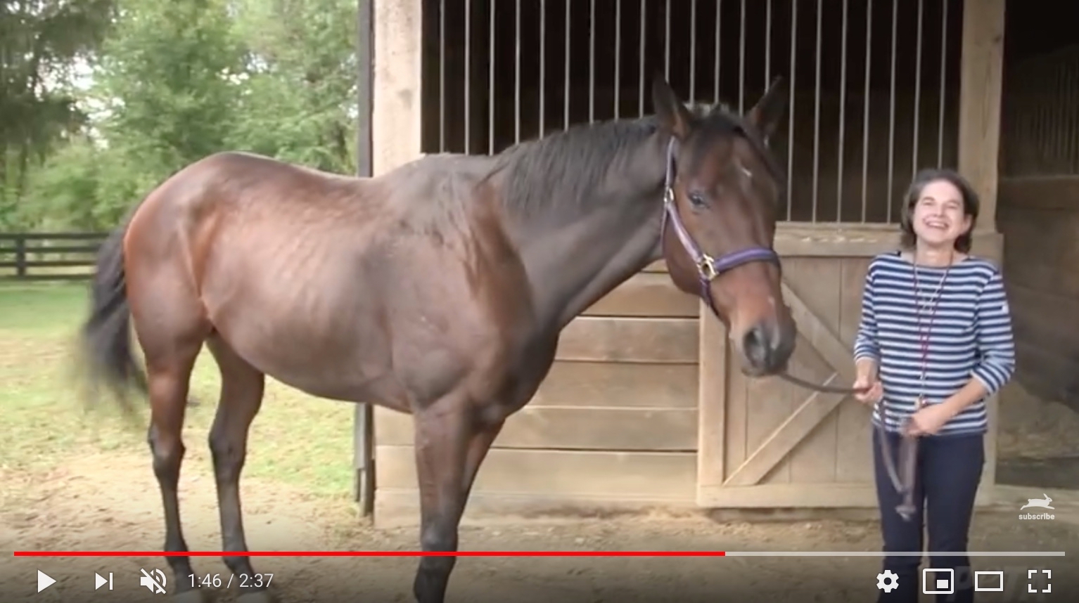 PETA-2016-Video-Screenshot
