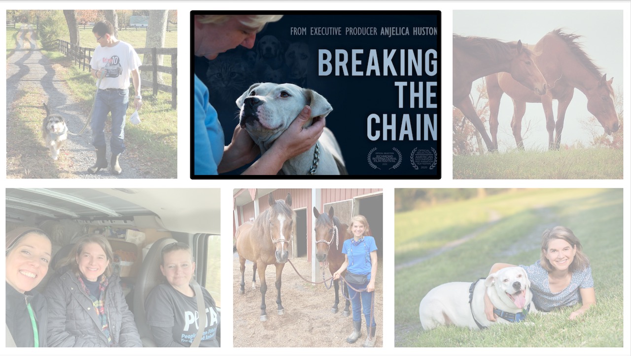 Breaking the Chain Featured Image 2
