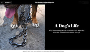 WaPo Cover Photo - 8 nov 2021