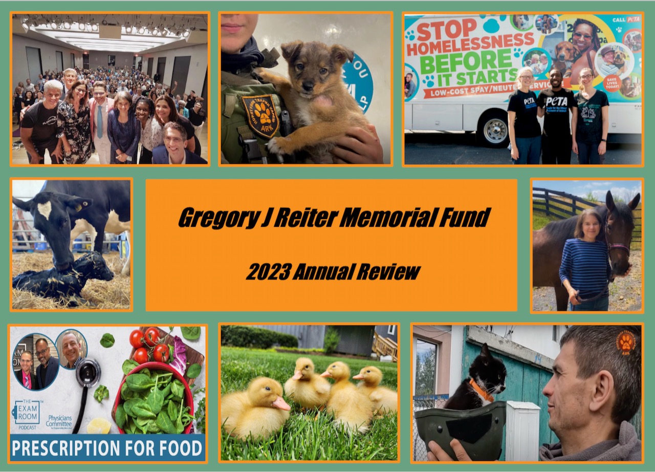2023 Annual Review Cover Collage