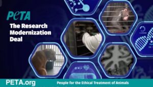 PETA Research Modernization Deal